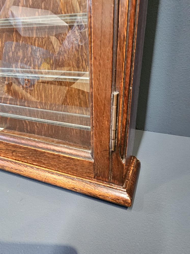 Edwardian Oak Wall Mounted Opticians Cabinet - Image 7