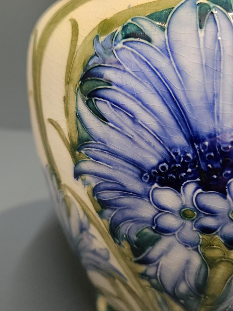 Rare Moorcroft McIntyre Cornflower on White Vase - Image 5