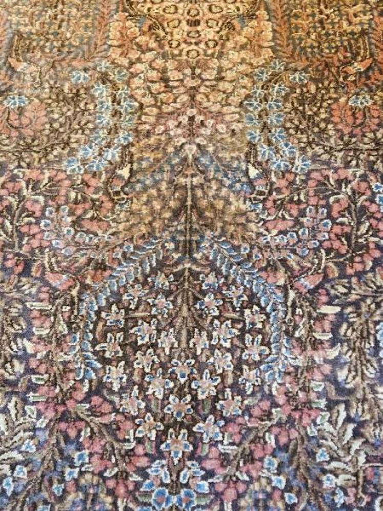 Unusual Fine Quality Persian Pure Wool Rug - Image 4