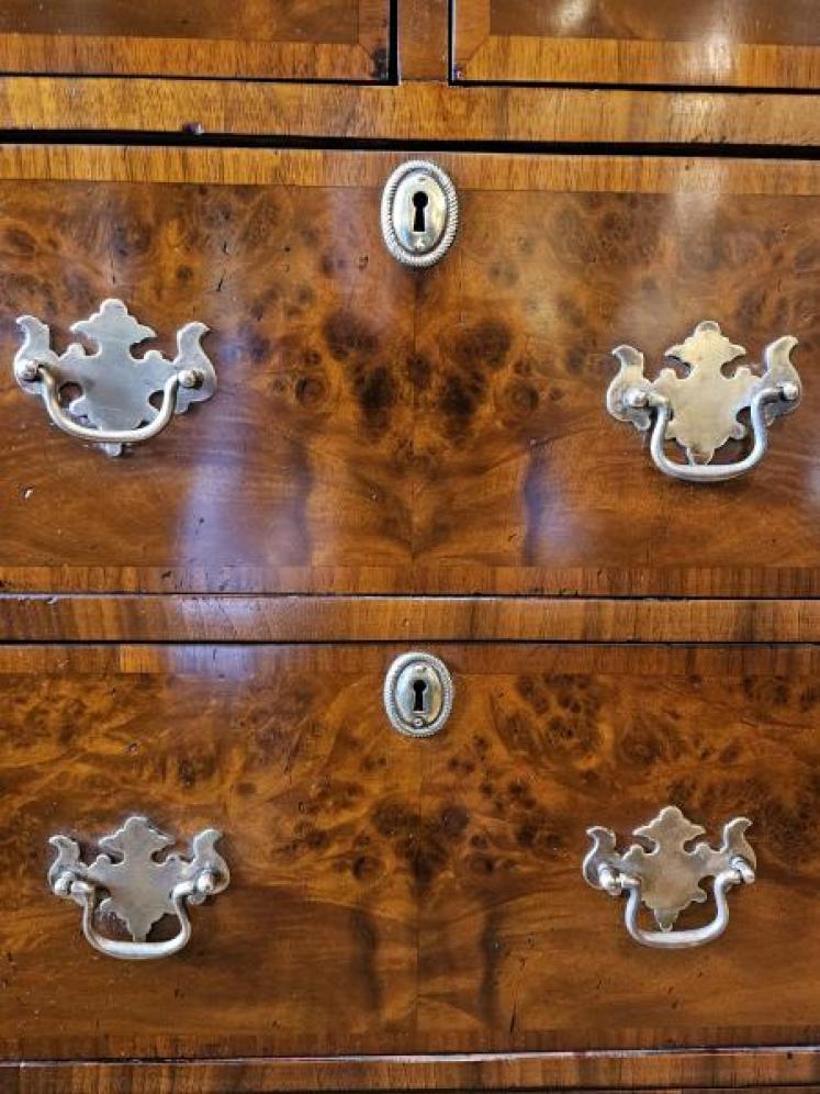 Victorian Burr Walnut Tallboy Chest - Image 3