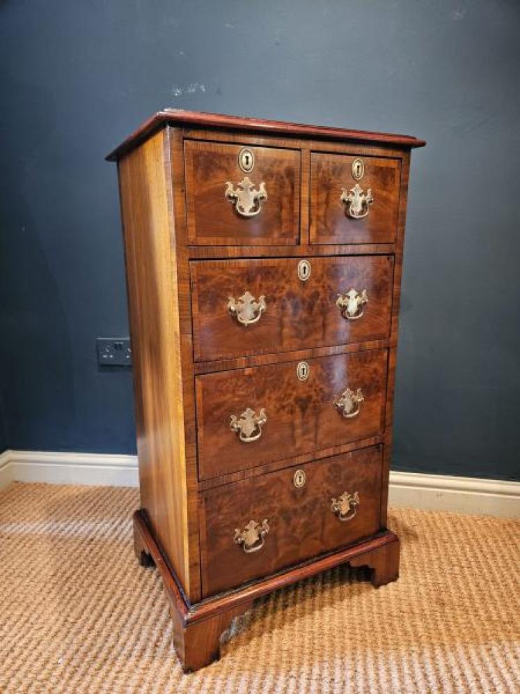 Victorian Burr Walnut Tallboy Chest - Image 5