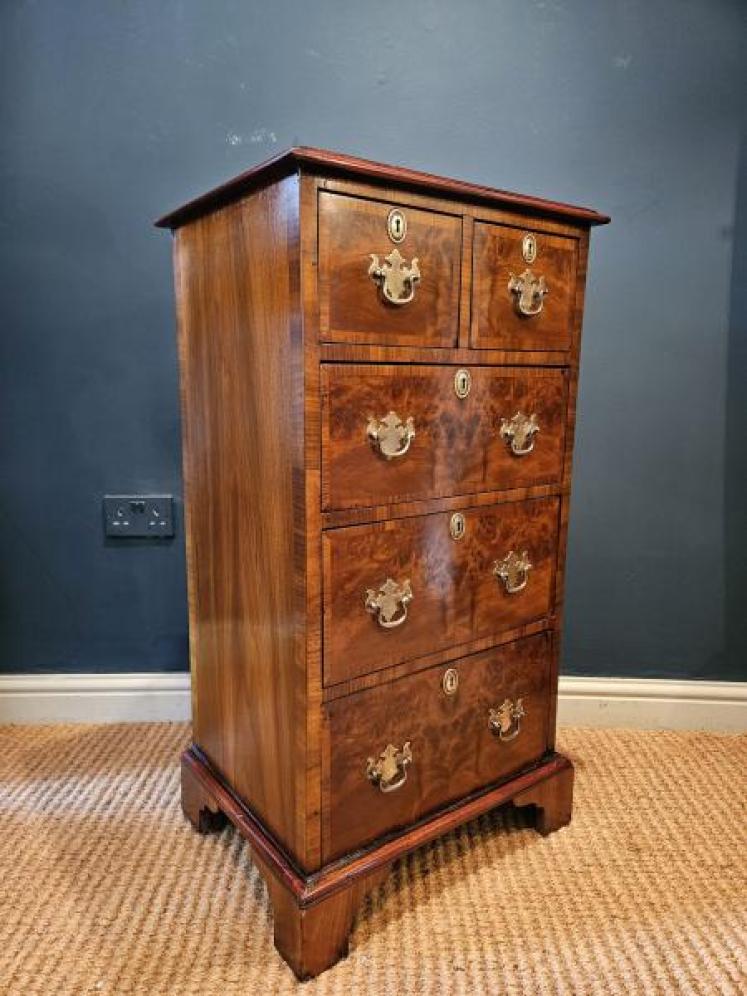 Victorian Burr Walnut Tallboy Chest - Image 6