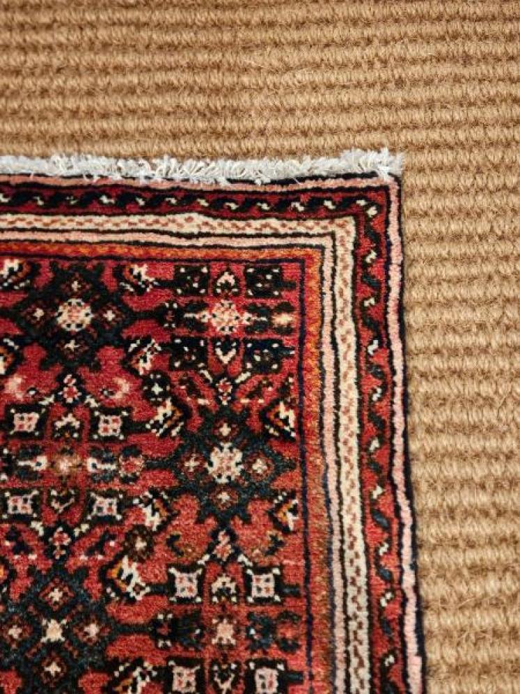 12 Foot Persian Pure Wool Runner Rug - Image 3
