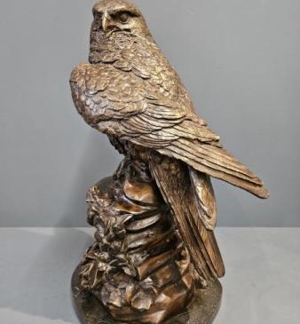 Large Bronze Kestrel