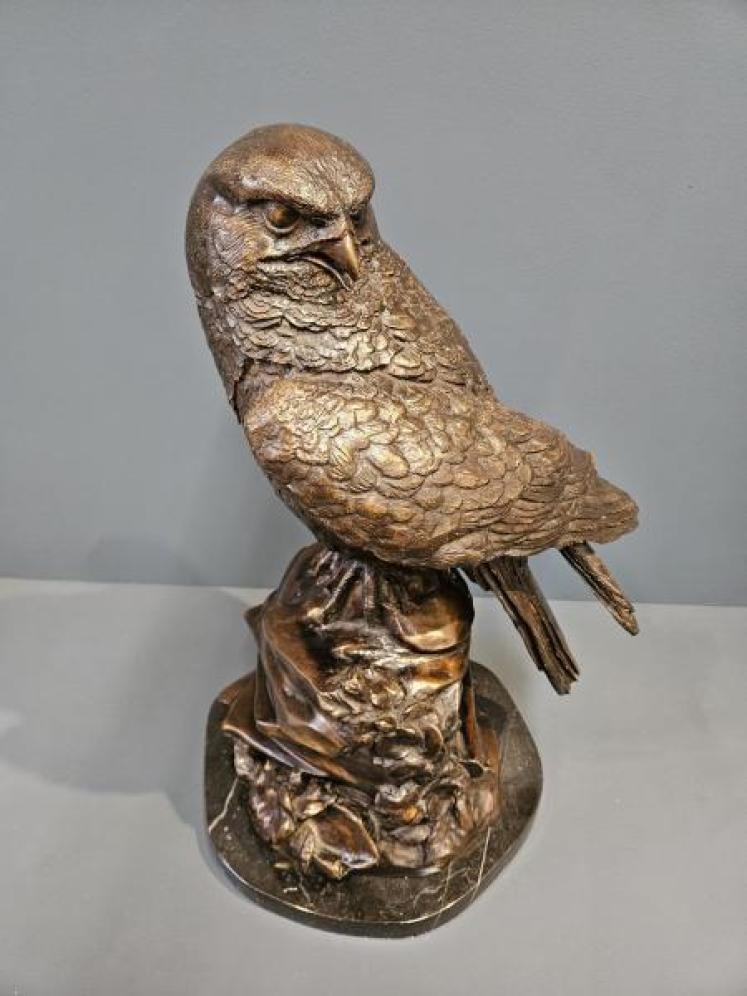 Large Bronze Kestrel - Image 2