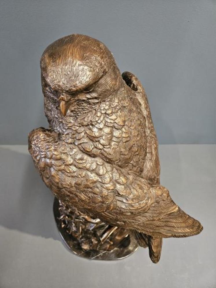 Large Bronze Kestrel - Image 3