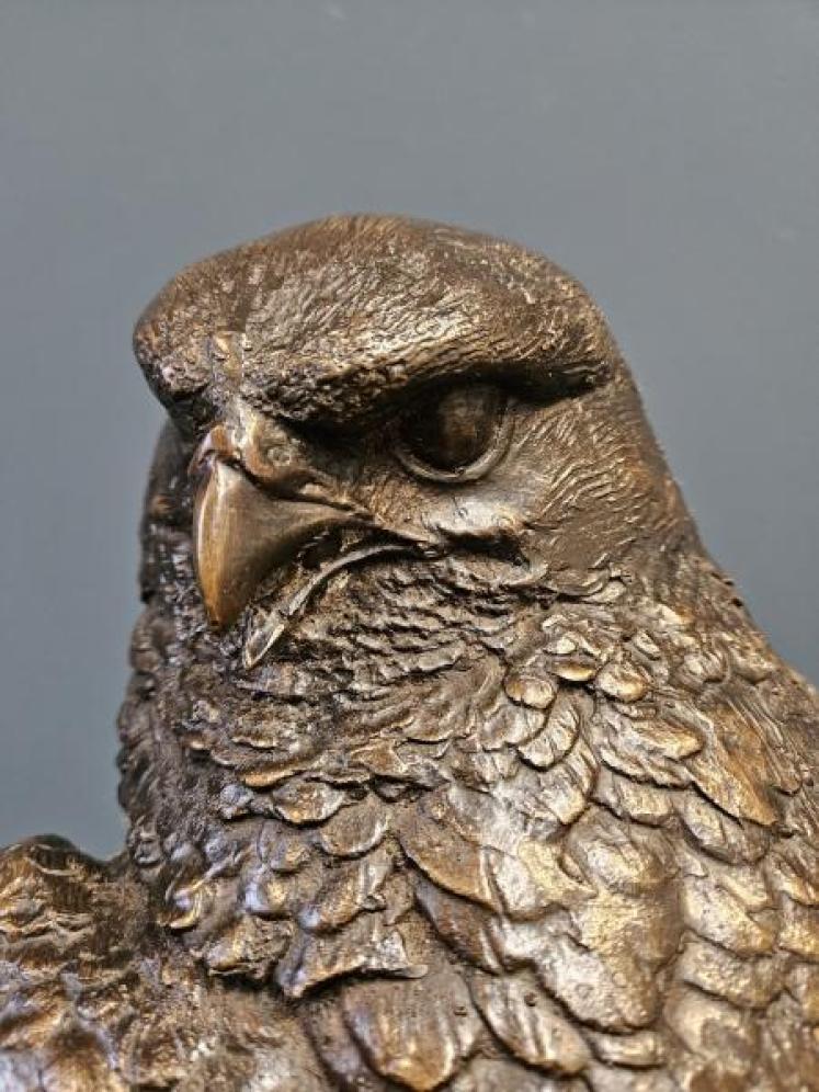 Large Bronze Kestrel - Image 6