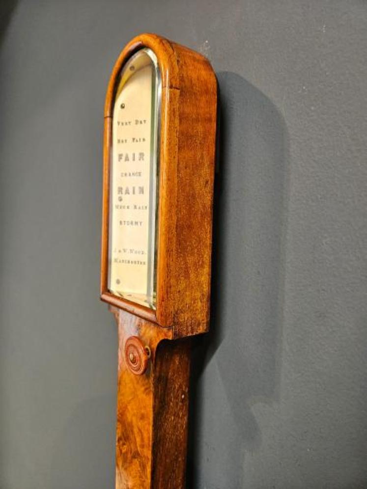 Mid Victorian Burr Walnut Stick Barometer  - Image 3