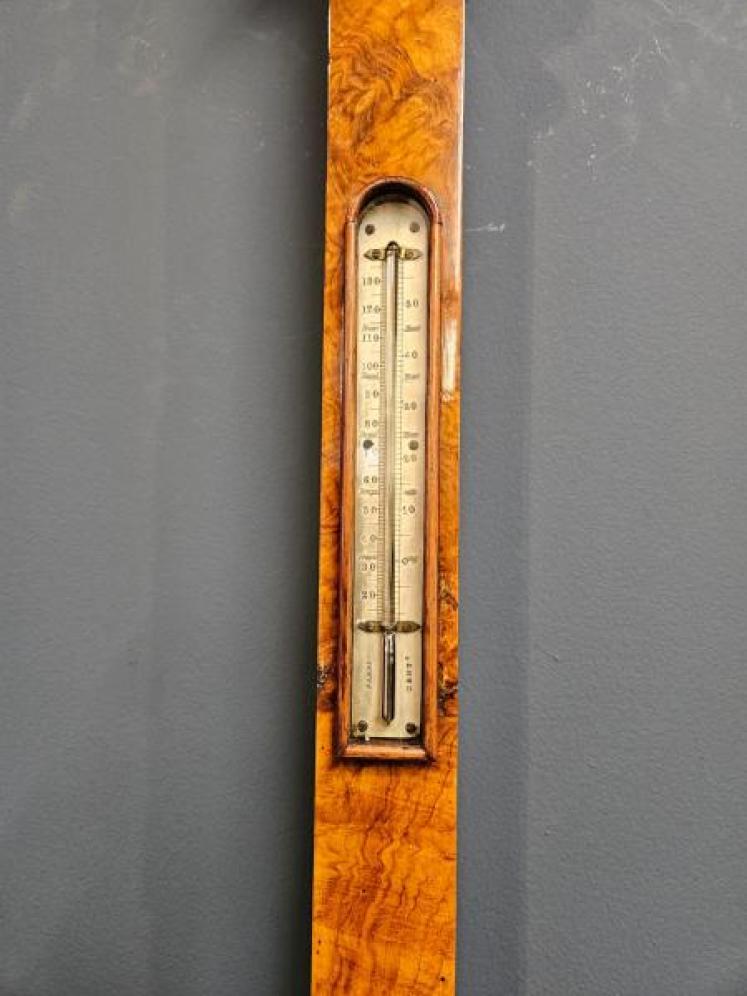 Mid Victorian Burr Walnut Stick Barometer  - Image 4