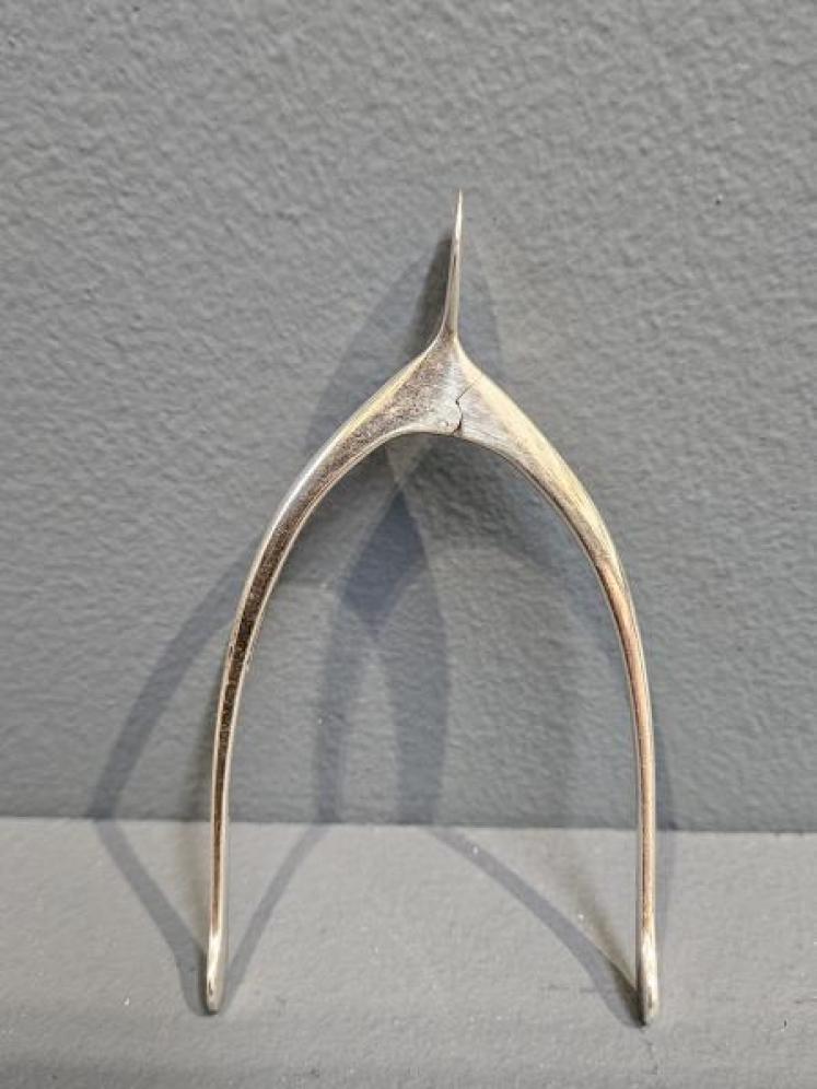 Silver Wishbone Sugar Nips - Image 1