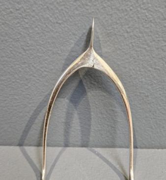 Silver Wishbone Sugar Nips