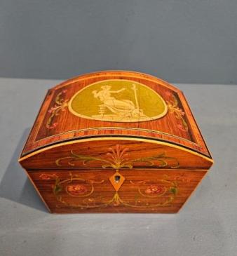 Regency Dome Top Painted Rosewood Box