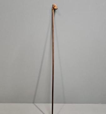 Victorian Rosewood Cane with Hunting Hound Top