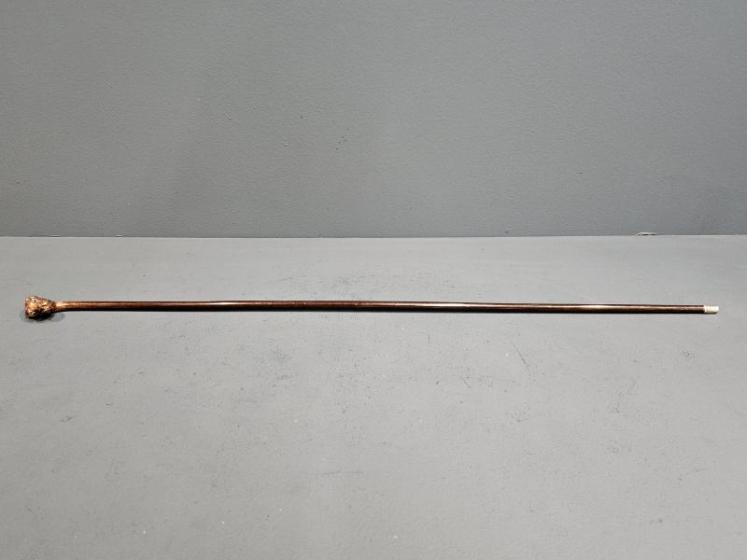 Victorian Rosewood Cane with Hunting Hound Top - Image 4
