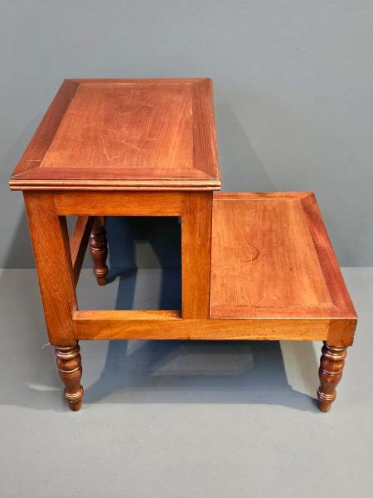 Early Victorian Mahogany Library Steps - Image 1