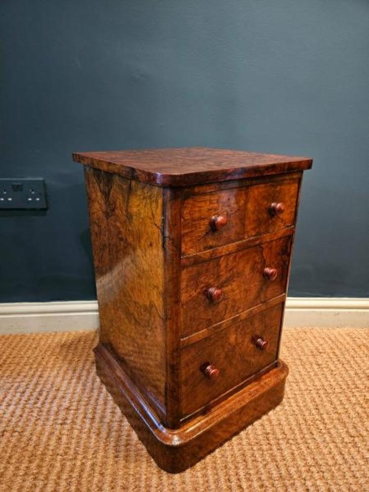 Pair of Victorian Burr Walnut Bedside Cabinets  - Image 3