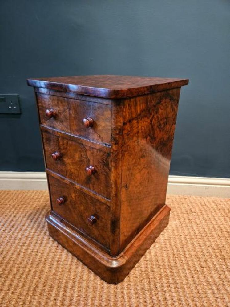 Pair of Victorian Burr Walnut Bedside Cabinets  - Image 4