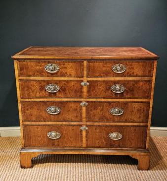 Large Late Georgian Burr Ash Chest of Drawers