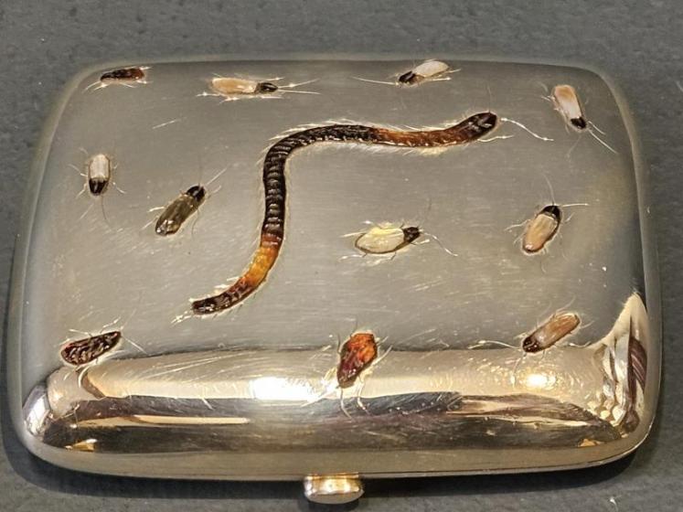 Superb Shibayama Inlaid Silver Cheroot Case - Image 4