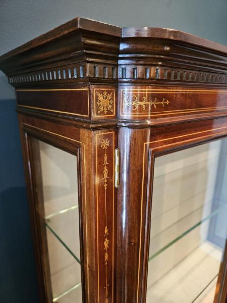 Small Edwards and Roberts Late Victorian Display Cabinet - Image 2