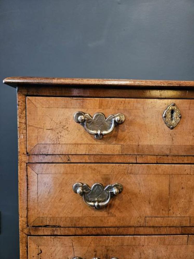 Edwardian Walnut Tallboy Chest  - Image 6