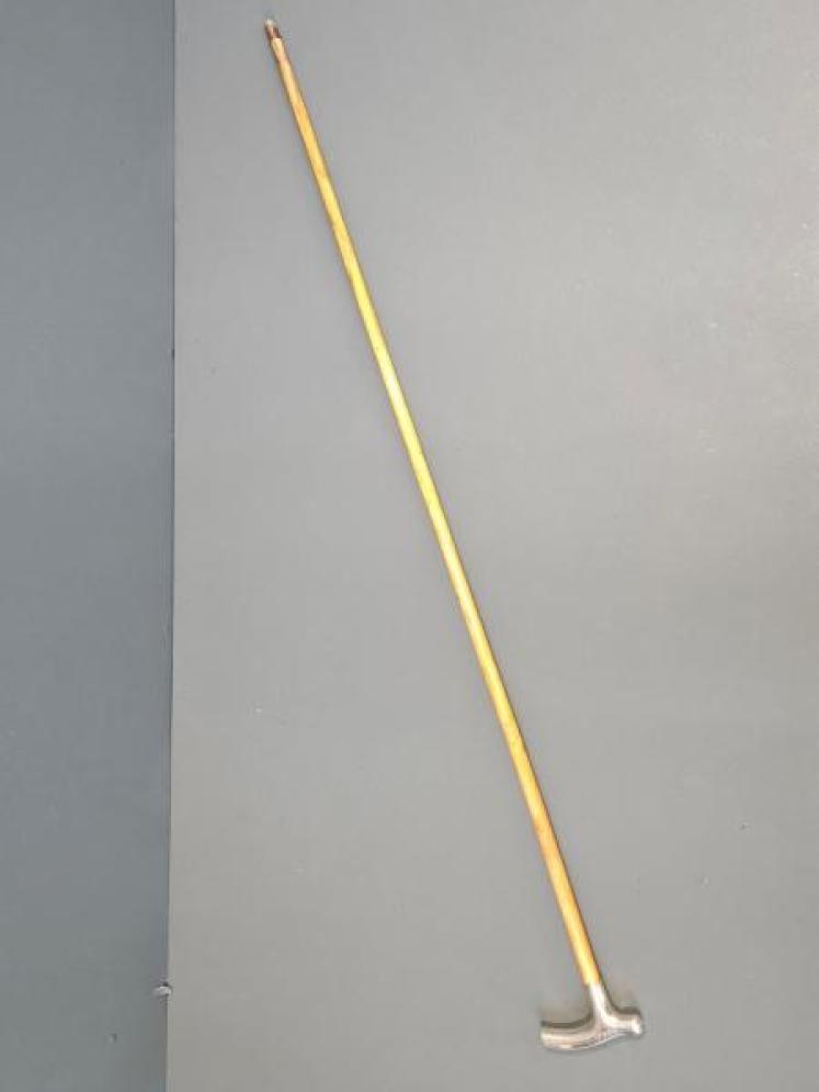 Rare Silver Whistle Cane - Image 1