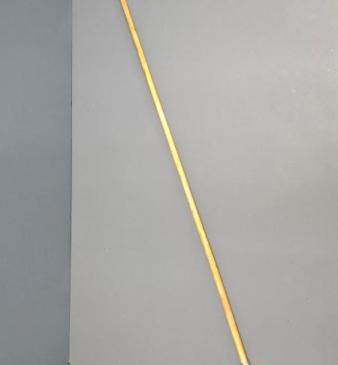Rare Silver Whistle Cane