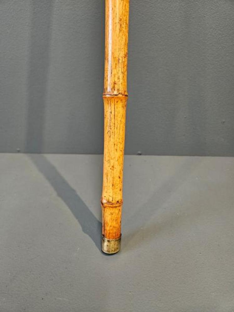 Unusual Edwardian Bamboo Cane With Internal Measuring Stick - Image 3