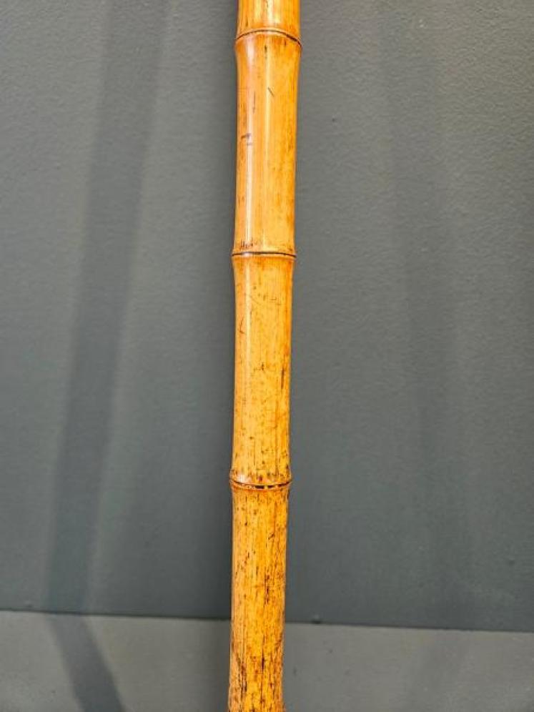 Unusual Edwardian Bamboo Cane With Internal Measuring Stick - Image 4