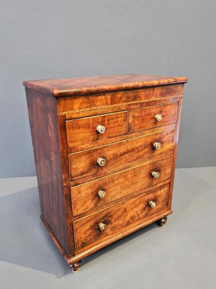 Early Victorian Miniature Chest of Drawers - Image 3