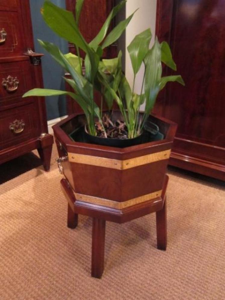 Regency Style Mahogany & Brass Wine Cooler - Image 5