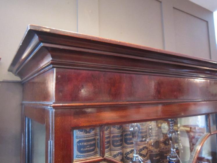 George III Style Astrayal Glazed Display Cabinet - Image 5