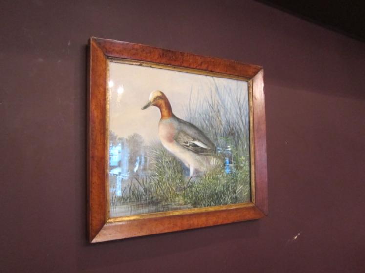 Superb Mid Victorian Watercolour Game Study - Image 1