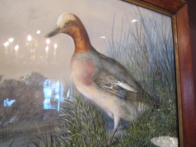 Superb Mid Victorian Watercolour Game Study - Image 4