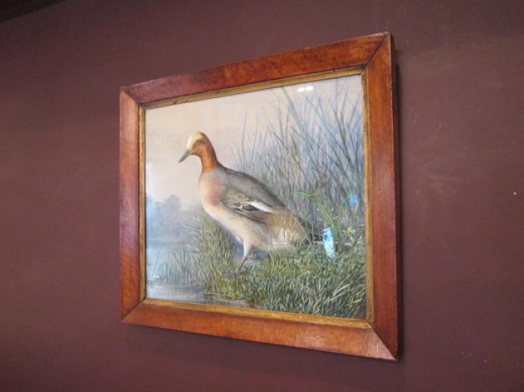 Superb Mid Victorian Watercolour Game Study - Image 5