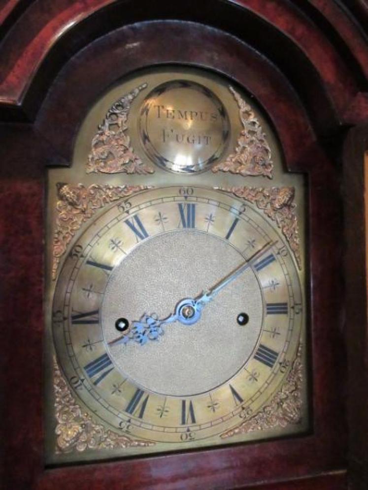 Superb 19th Century Burr Walnut Grandmother Clock - Image 2
