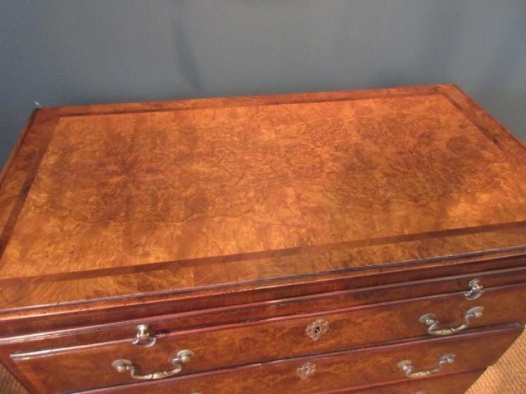 George III Period Antique Burr Walnut Bachelor's Chest - Image 2