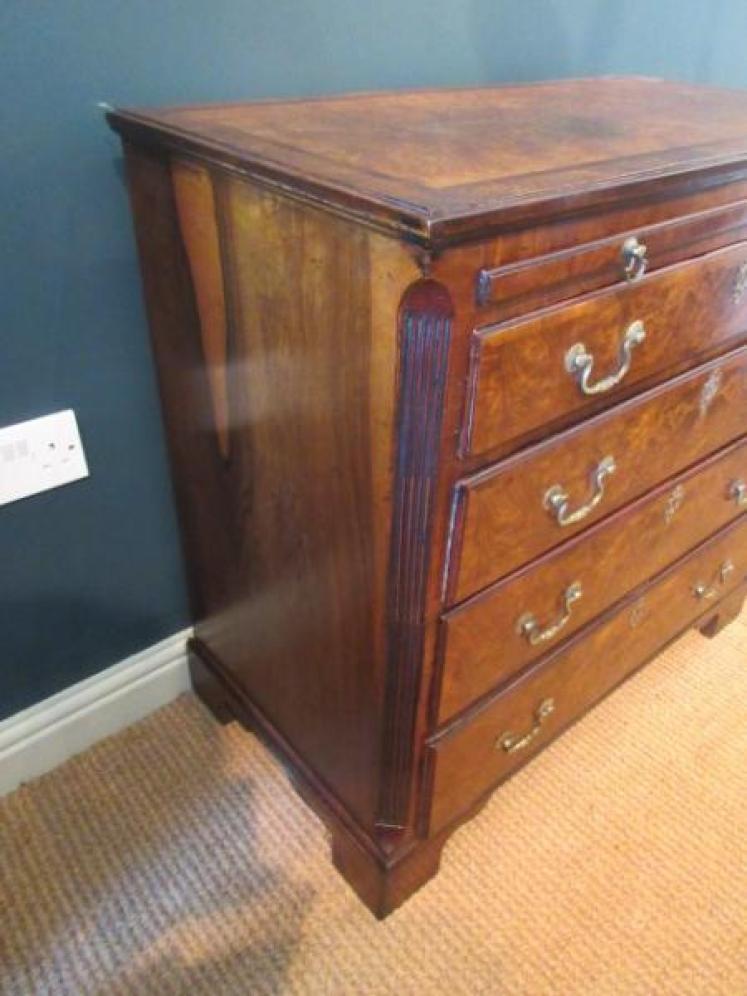 George III Period Antique Burr Walnut Bachelor's Chest - Image 4