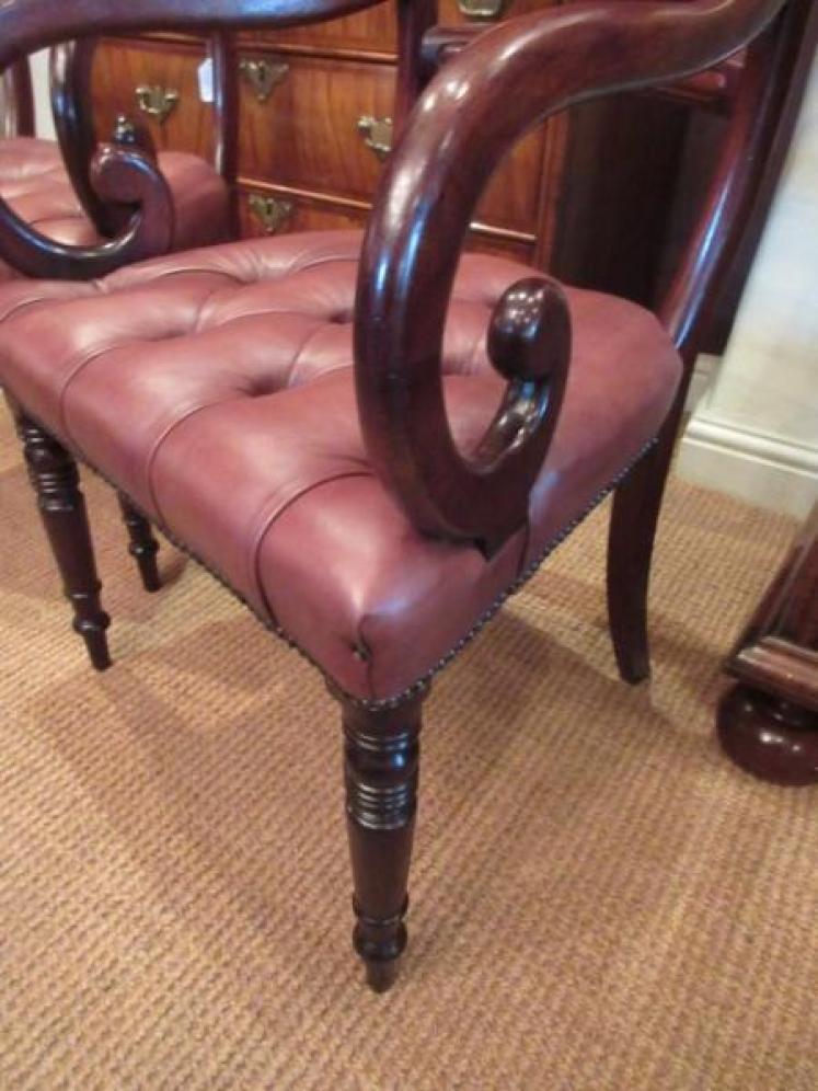 Pair of Regency Antique Mahogany Carver Armchairs - Image 4