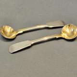 Antique Pair of Early Victorian Newcastle Silver Spoons by John Walton